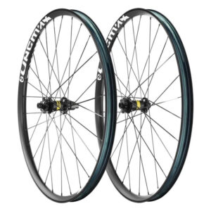 mavic-e-deemax-29-bikingmax